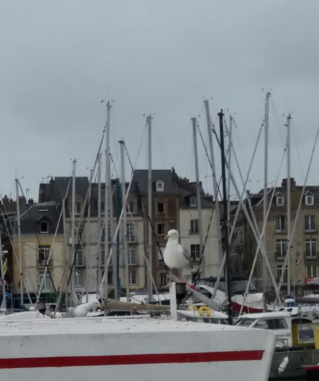 Egg Hotel - Hotel Les Gens De Mer Dieppe Bagian luar foto